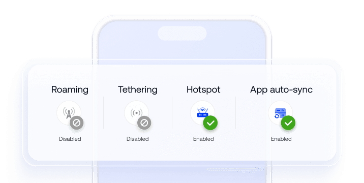 Corporate phone with roaming and hotspot disabled, indicating reduced mobile data costs.