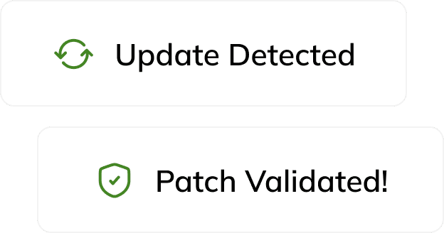 Patch Update and Validate