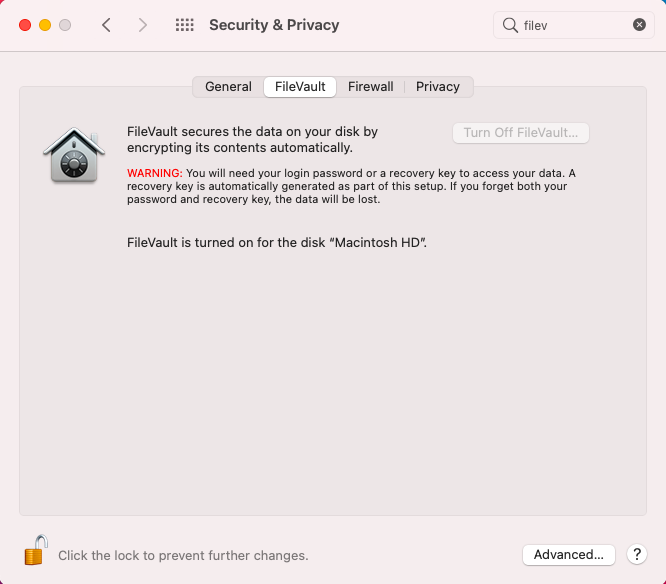 the filevault settings are disabled