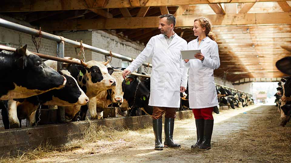 Phibro on creating better food, healthy animals and a better world with Hexnode secured device fleet